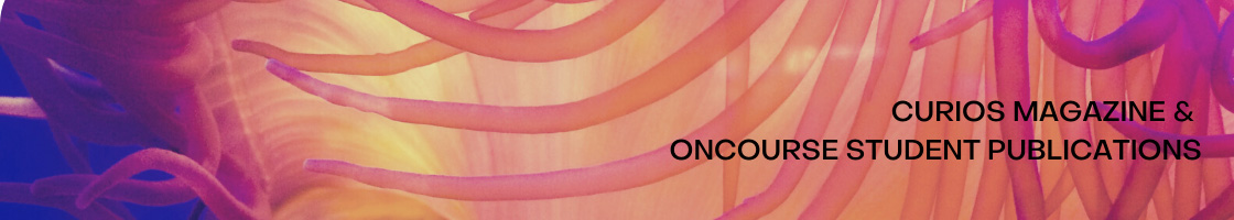 Curios Magazine & OnCourse Student Publications
